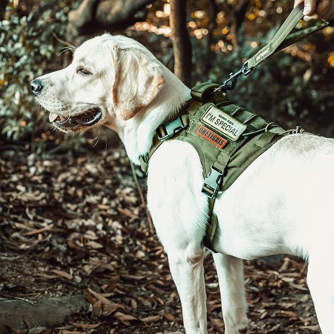 OneTigris Tactical Dog Harness No-Pull Breathable Pet Vest for Small Dogs | Military 1000D Pullable Nylon, Service Dog Vest with Hook & Loop Panels, Easy On & Off for Walking Hiking Training Green S