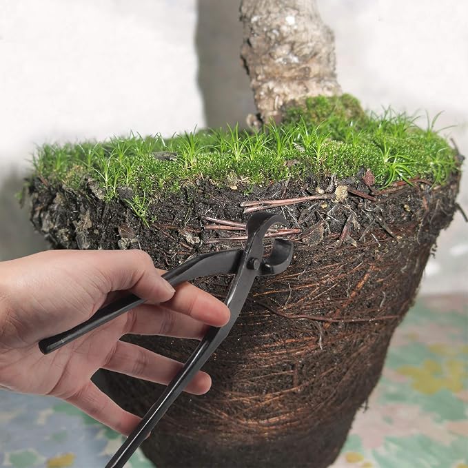 BambooMN 7.5" Root Cutter Tool - 1 Piece