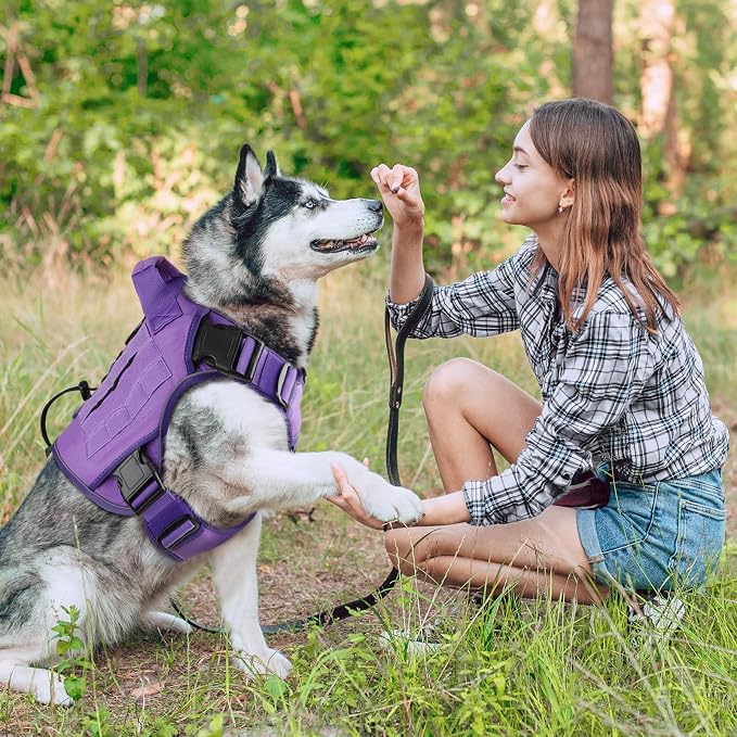 WINGOIN Purple Tactical Dog Harness for Small Dogs,No Pull Dog Harness | with Handle,Adjustable Reflective,Military K9 Style,Big Size Dog Vest,for German Shepherd,for Walking Training Hunting
