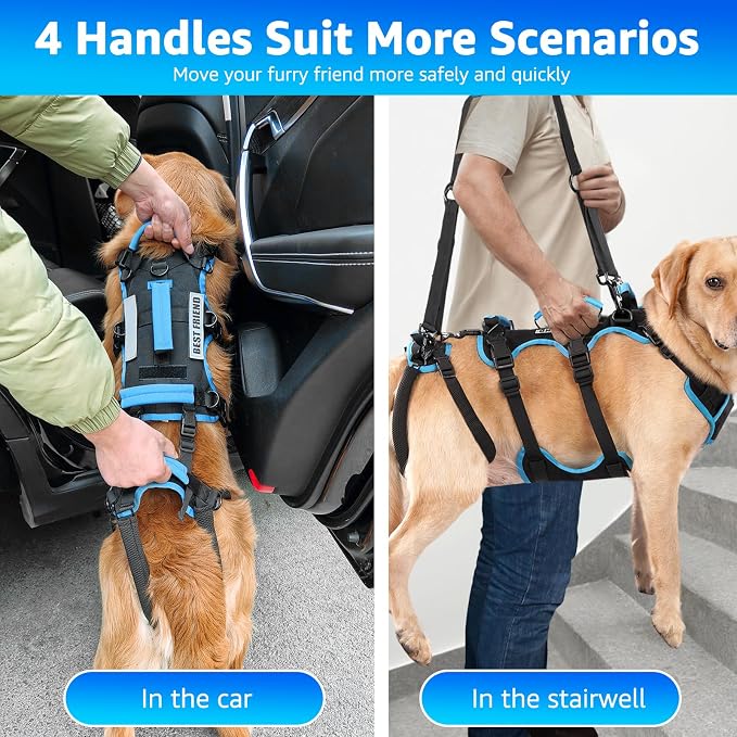 Dog Lift Harness for Extra Large Dogs, 2-in-1 Detachable Support Harness, Full Body Carrying with 4 Handles, Dog Sling for Large Dogs Hind Leg Support(Black, XX-Large)