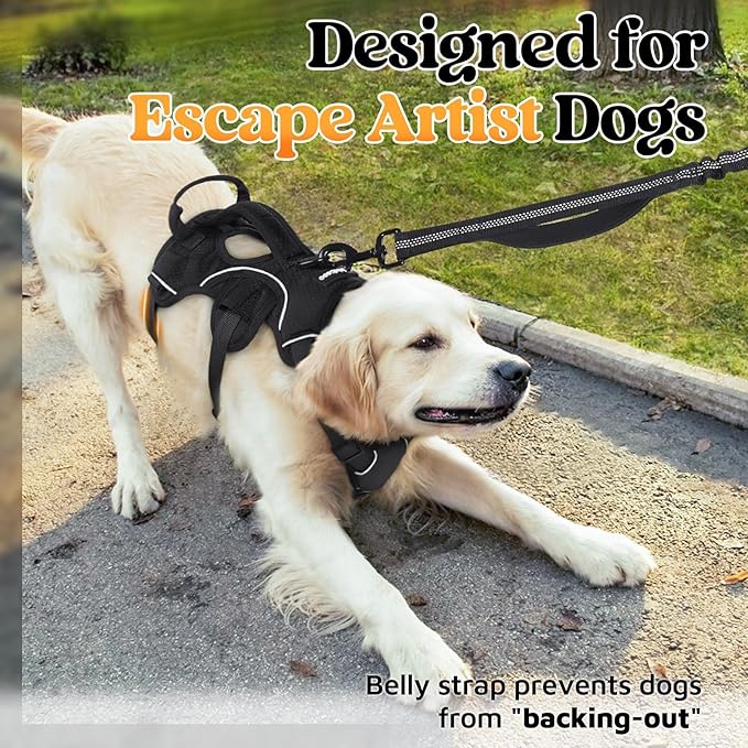 rabbitgoo Escape Proof Dog Harness for Medium, No Pull with Lift Handle | No Escape, Full Soft Padded, Reflective Adjustable Vest, Leash Clip for Walking Hiking Training, Black, Medium