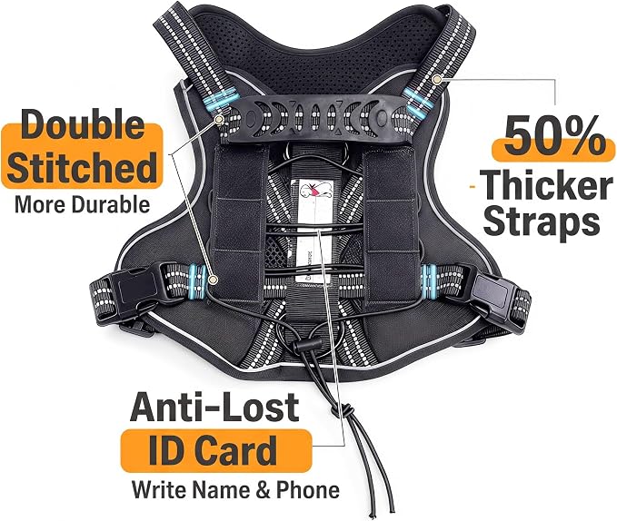 3-in-1 Dog Vest Harness Leash Set for Daily,Service,Training Animal Small