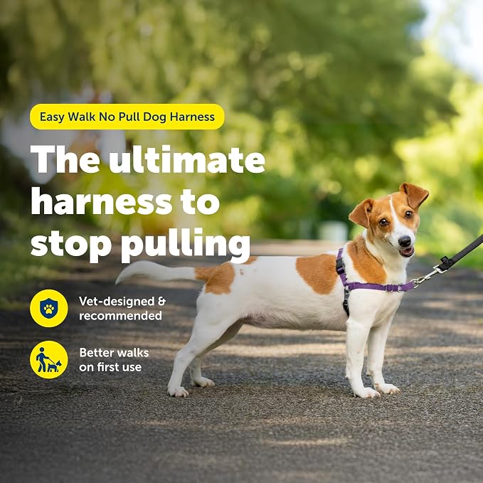 PetSafe Easy Walk Harness, No Pull Dog Harness, Deep Purple, Small | Patented Martingale Loop Gives Gradual Shoulder Pressure to Stop Pulling, Front-Chest Leash Clip Prevents Gagging