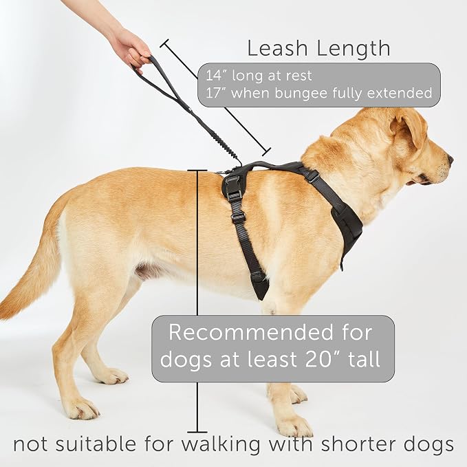 TUG Grab Dog Harness with Built-in Magnetic Traffic Leash (Medium/Black) | Padded Magnetic Traffic Handle | Dual Leash Clips | 4-Point Adjustable Fit | Durable Nylon
