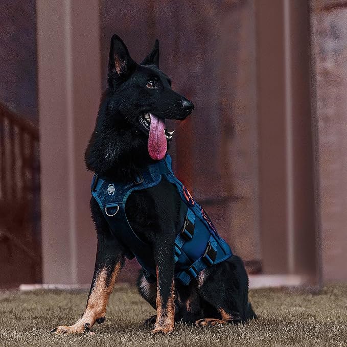 OneTigris Tactical Dog Harness for Small Medium Large Dogs, Mesh Design Service Dog Vest Breathable Military Dogs Molle Vests with Handles, Harness for Walking Hiking Training (Blue, L)