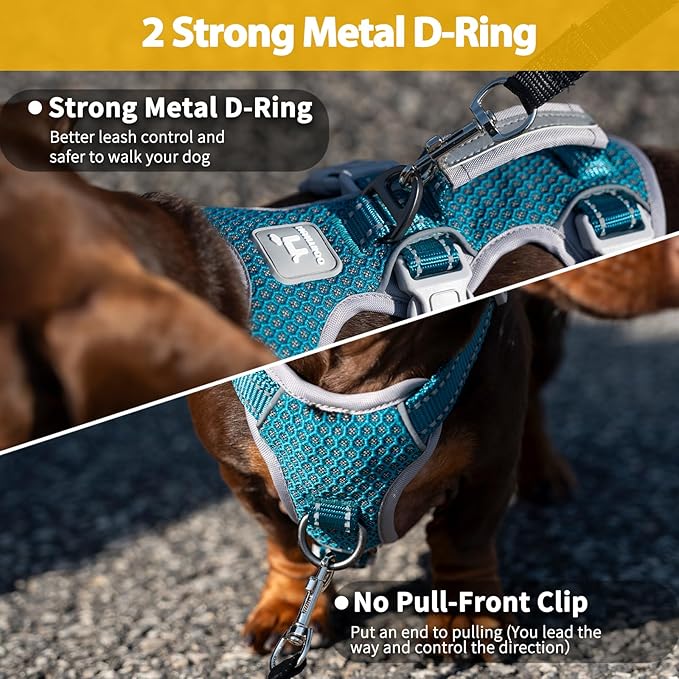 Escape Proof Dog Harness, Escape Artist Harness, Fully Reflective Harness with Padded Handle, Breathable, Durable, Adjustable Vest for Small Dogs Walking, Training, and Running Gear (Teal,S)