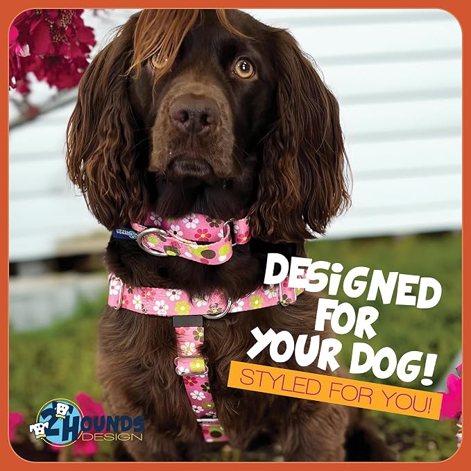 2 Hounds Design - Freedom No-Pull Harness & Training Leash in Pink Daisy | Dual Leash Loops, No Pulling on Walks | Lined to Prevent Chaffing | for Small Sized Dogs (Size S, Chest 20”- 24”)