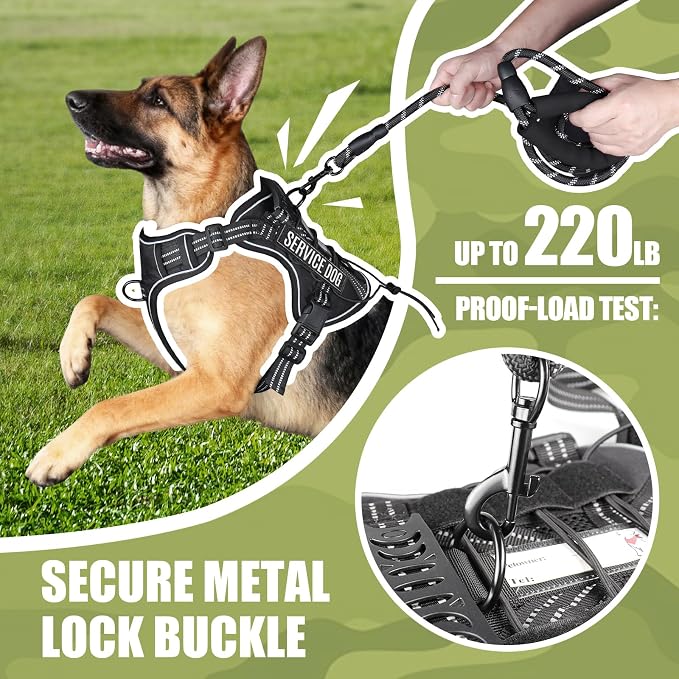 3-in-1 Dog Vest Harness Leash Set for Daily,Service,Training Animal Small