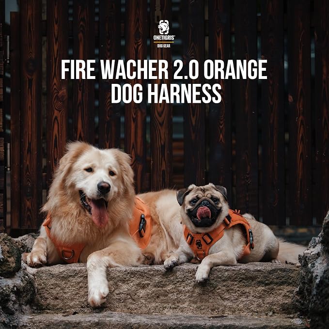 OneTigris Tactical Dog Harness Vest No-Pull Service Dog Vest for Large Dogs | 1000D Pullable Nylon, with Control Handle and Hook & Loop Panels, Easy On & Off, Adjustable for Walking Training Orange L