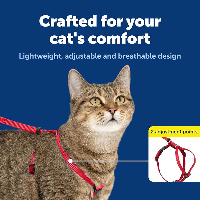 PetSafe Come With Me Kitty Harness and Bungee Leash, Harness for Cats, Small, Red/Cranberry, CWMK-S-RED | Adjustable 2-Point Fit Applies Gentle Pressure to Shoulders, Not Neck, for Kittens and Small Cats with 9 in - 11 in Girth