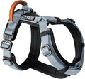 MADE TO ROAM Premium Explorer Harness - Y-Shaped Dog Harness with Adjustable Durable Nylon, Soft Padding, Metal Buckles and Leather Handle for Small, Medium, Large Dogs (Virginia Mountains, Size 3)