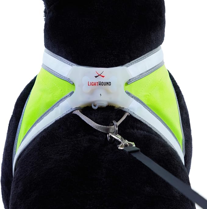 noxgear LightHound Light Up Reflective Dog Harness, Small | 360° Light Up Reflective Dog Harness, 8 Colors & 6 Modes, USB Rechargeable, Adjustable, Rainproof, LED Fiber Optic