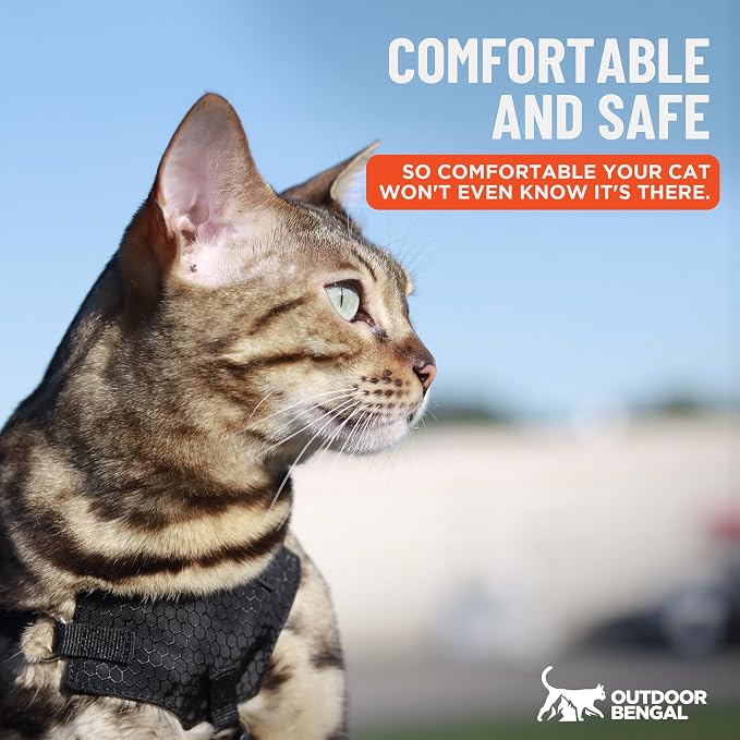 Houdini™ Escape Proof Cat Harness and Leash (Black, M/L) | Adjustable walking vest with 6ft lead, premium padded finish, snug secure fit, lightweight for travel and outdoor adventures