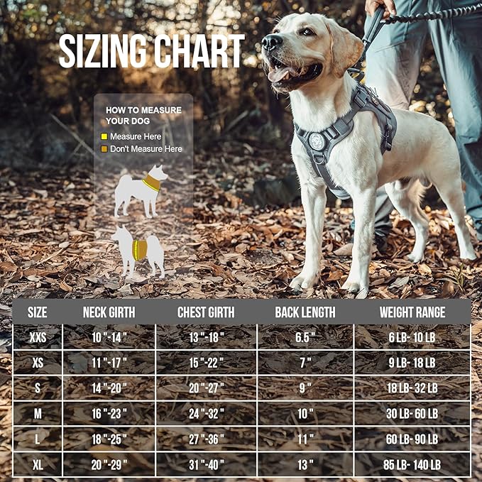 OneTigris Tactical Dog Harness Vest No-Pull Service Dog Vest for Small Dogs | 1000D Pullable Nylon, with Control Handle and Hook & Loop Panels, Easy On & Off, Adjustable for Walking Training Gray XS