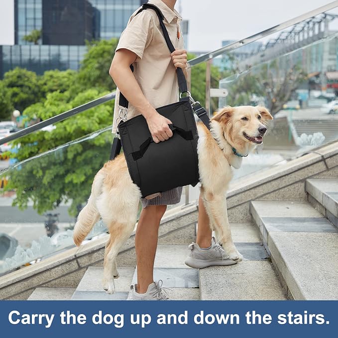 COODEO Dog Carry Sling, Emergency Backpack Pet Legs Support & Rehabilitation Dog Lift Harness for Nail Trimming, Dog Carrier for Senior Dogs Joint Injuries, Arthritis, Up and Down Stairs(M, Black)