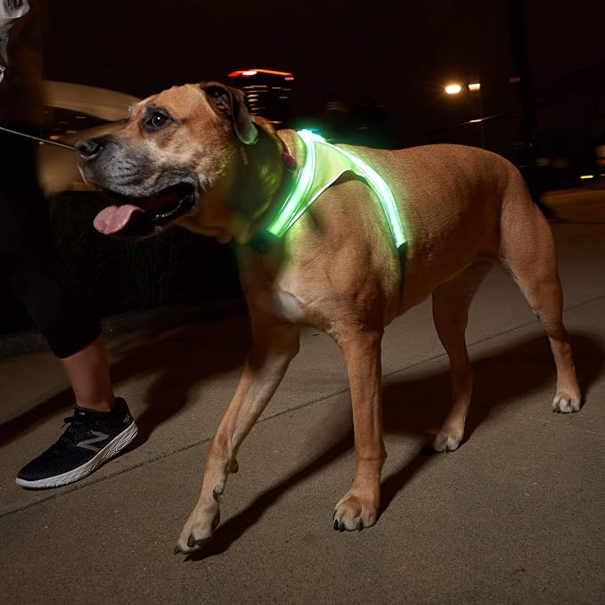 noxgear LightHound Light Up Reflective Dog Harness, X-Large | 360° Light Up Reflective Dog Harness, 8 Colors & 6 Modes, USB Rechargeable, Adjustable, Rainproof, LED Fiber Optic