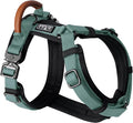 MADE TO ROAM Premium Explorer Harness - Y-Shaped Dog Harness with Adjustable Durable Nylon, Soft Padding, Metal Buckles and Leather Handle for Small, Medium, Large Dogs (Florida Seaside, Size 2)