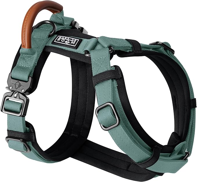 MADE TO ROAM Premium Explorer Harness - Y-Shaped Dog Harness with Adjustable Durable Nylon, Soft Padding, Metal Buckles and Leather Handle for Small, Medium, Large Dogs (Florida Seaside, Size 5)