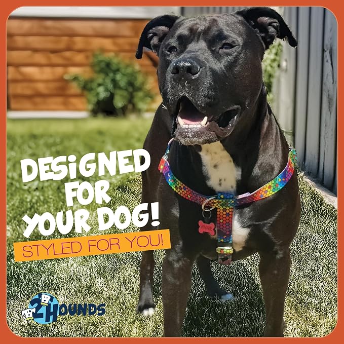 2 Hounds Design - Freedom No-Pull Harness & Training Leash in Blue and Rainbow | Dual Leash Loops, No Pulling on Walks | Lined to Prevent Chaffing | for Small Sized Dogs (Size S, Chest 20”- 24”)