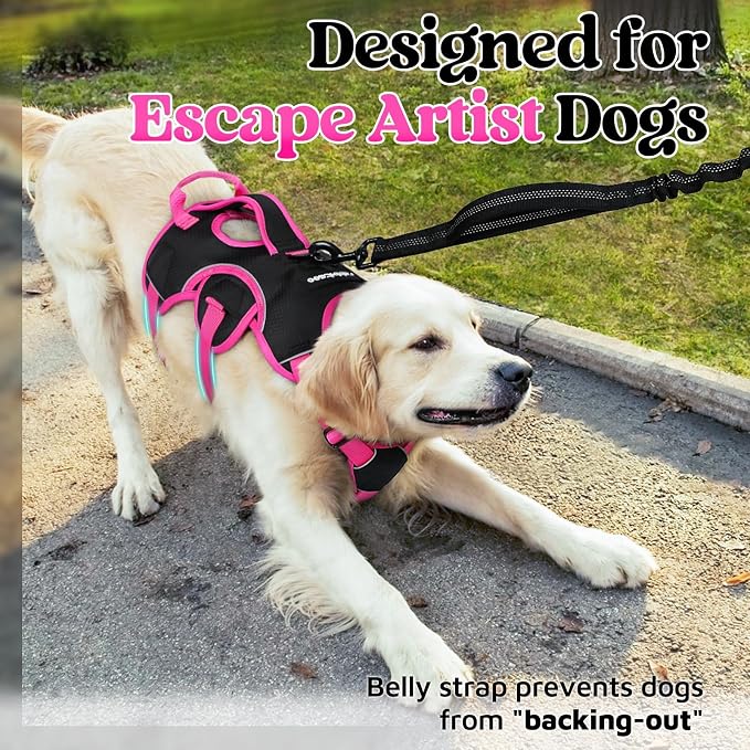 rabbitgoo Escape Proof Dog Harness for Medium, No Pull with Lift Handle | No Escape, Full Soft Padded, Reflective Adjustable Vest, Leash Clip for Walking Hiking Training, Rose & Black, Medium