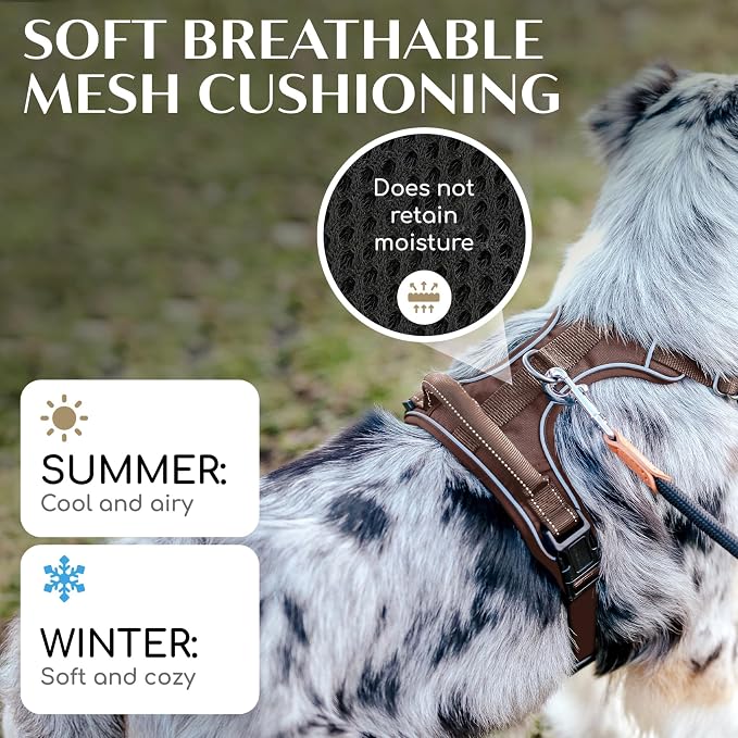 Freudentier No Pull Dog Harness with Handle, Front & Back Clips, Reflective | Soft breathable mesh padding - perfect fit with no chafing or slipping - comfortable dog vest for small, medium & large dogs