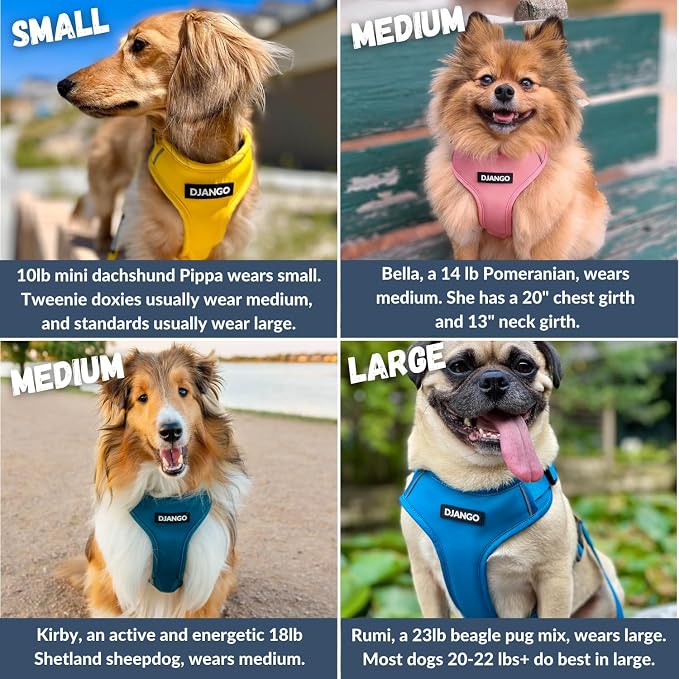 Adventure Dog Harness - Stylish Small Dog Harness for Outdoor Adventures and Everyday Wear - Dandelion Yellow Neoprene Adjustable Harness for Dogs with Reflective Piping and Solid Brass D-Ring