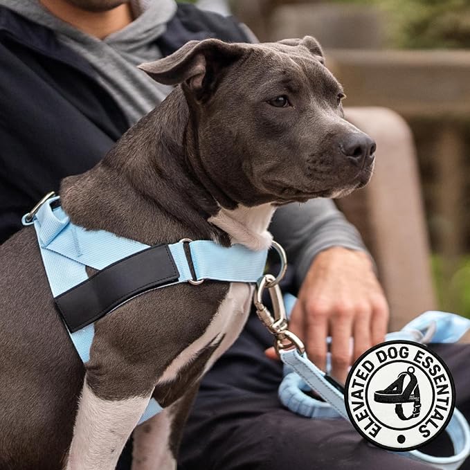 Dog Friendly Co. Dog Harness for Large Dogs (Sky Blue, Large) | One Click Buckle, Chafe Resistant Webbing, Adjustable Neck & Chest, and Heavy Duty D-Ring, Sturdy Comfortable and Easy to Use