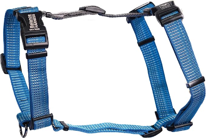 Blue-9 Reflective Buckle-Neck Balance Harness, Fully Customizable Fit No-Pull Harness with 3M Reflective Stitching, Ideal for Dog Training and Obedience, Made in The USA, Blue, Small