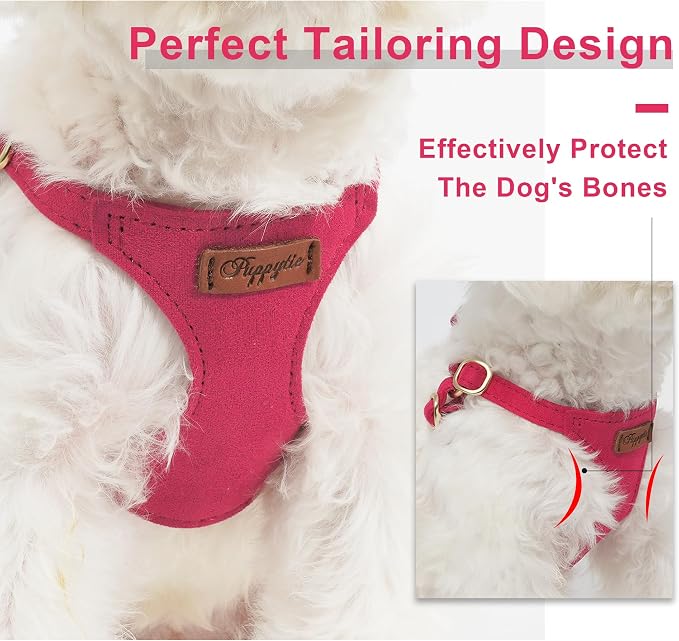 Puppytie Small Dog Harness and Leash Set, Red, S (9-17.5 lbs) | Dog Harness Small Sized Dog, Dog Leash for Small Dogs, Soft and Lightweight, Puppytie Dog Harness for Daily Walks