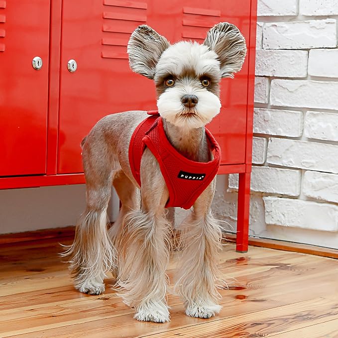 PUPPIA International PUAH305WNXL Soft Harness B Vest, X-Large, Wine Red
