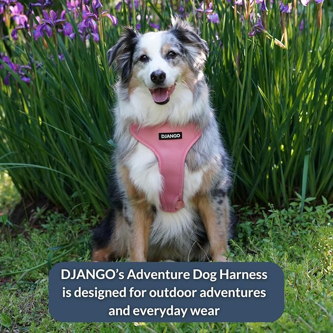 Adventure Dog Harness - Stylish, and Durable Large Dog Harness for Outdoor Adventures and Everyday Wear - Quartz Pink Neoprene Adjustable Harness for Dogs with Reflective Piping, Brass D-Ring