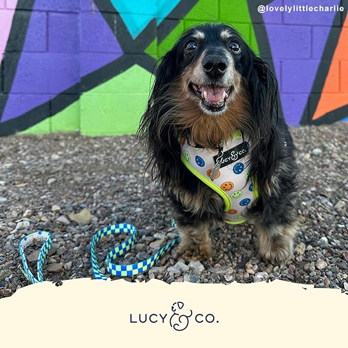 Lucy & Co. Reversible Dog Harness - Water-Repellent Neoprene, Dual-Print Design, Easy Swap Style, Adjustable Comfort Fit - Have a Nice Day Reversible Harness - Large