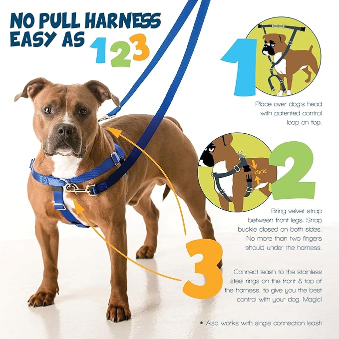 2 Hounds Design Freedom No Pull Dog Harness and Leash, 1" XL, Neon Green | Promotes Easy Walking & Comfortable Control, Adjustable Harness and Leash Set for Extra Large Sized Dogs, Made in USA