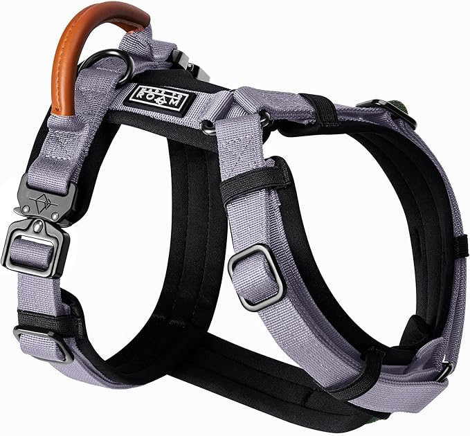 MADE TO ROAM Premium Explorer Harness - Y-Shaped Dog Harness with Adjustable Durable Nylon, Soft Padding, Metal Buckles and Leather Handle for Small, Medium, Large Dogs (Montana Moonrise, Size 1)