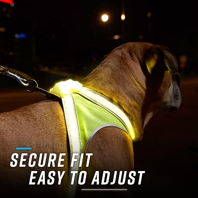 noxgear LightHound Light Up Reflective Dog Harness, Small | 360° Light Up Reflective Dog Harness, 8 Colors & 6 Modes, USB Rechargeable, Adjustable, Rainproof, LED Fiber Optic