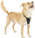 Kurgo Enhanced Strength Tru-Fit Smart Harness, Black, Extra Small | Crash Tested Car Harness for Dogs up to 75Lbs, Seatbelt Tether & Steel Carabiner, All-Steel Buckles, Padded Chest for Comfort