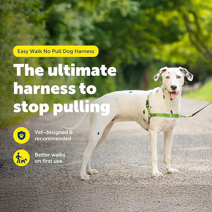 PetSafe Easy Walk Harness, No Pull Dog Harness, Apple Green, Medium/Large | Patented Martingale Loop Gives Gradual Shoulder Pressure to Stop Pulling, Front-Chest Leash Clip Prevents Gagging