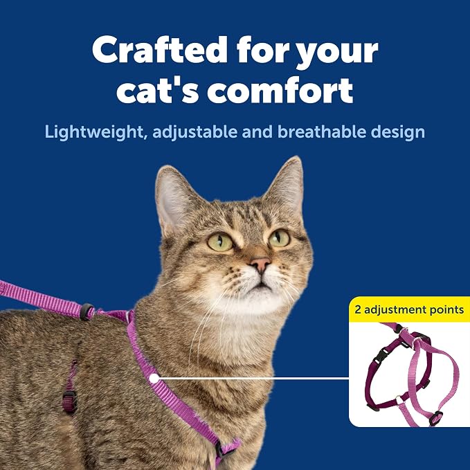 PetSafe Come with Me Kitty Harness and Bungee Cat Leash, Dusty Rose, Medium | Adjustable 2-Point Fit Applies Gentle Pressure to Shoulders, Not Neck, for Small & Average Cats with 10.5 in - 14 in Girth