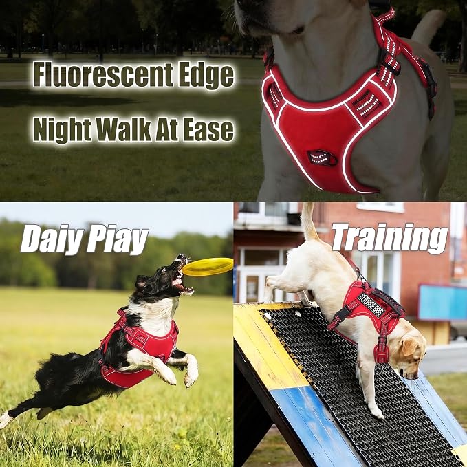 3-in-1 Dog Vest Harness Leash Set for Daily,Service,Training Animal Small