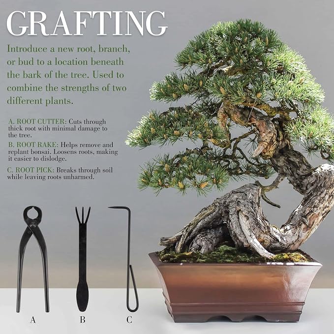 BambooMN 15 Piece Bonsai Master Tools Set with Case, Shears, Concave Cutter, Knob Cutter, Wire Cutter, Bonsai Trimming, Branch Bending, Beginner Friendly - 1 Set