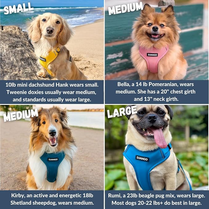 Adventure Dog Harness - Stylish & Durable Small Dog Harness for Outdoor Adventures and Everyday Wear - Pacific Blue Neoprene Adjustable Harness for Dogs with Reflective Piping, Brass D-Ring