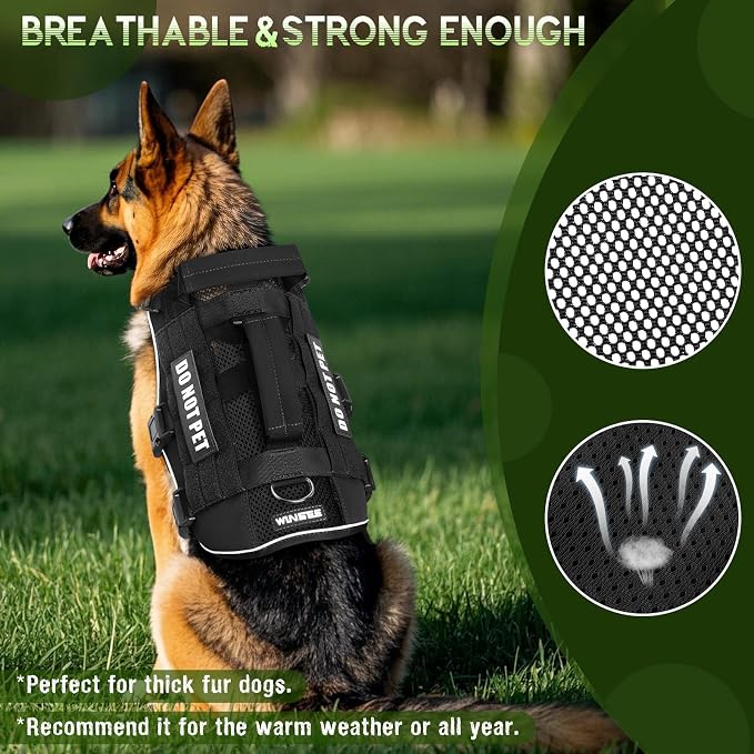 Tactical Molle Vest Mesh Dog Harness with 10 Removale Pet Patches | Breathable Service Dog harness with Double Soft Padded Handle for Medium Dog, Reflective Military Pet Vest for Walk Hiking