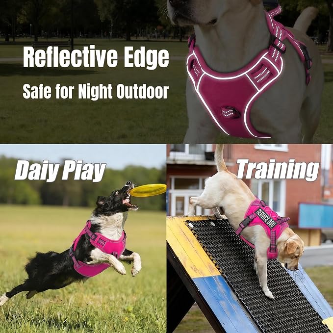 3-in-1 Dog Vest Harness Leash Set for Daily,Service,Training Animal Medium
