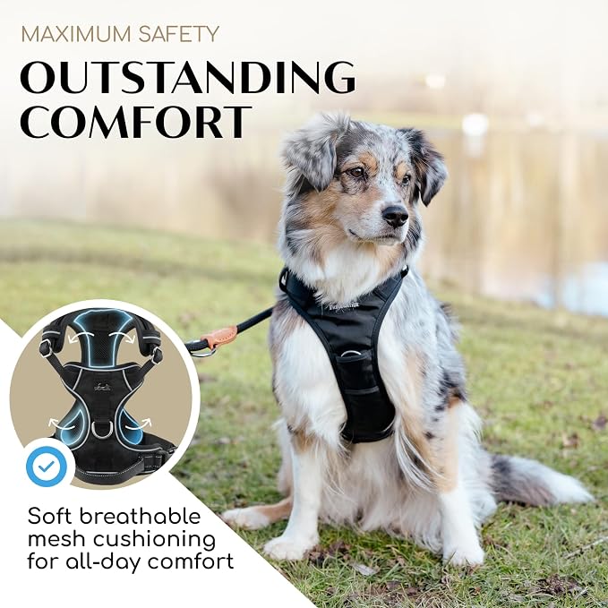 Freudentier No Pull Dog Harness with Handle, Front & Back Clips, Reflective | Soft breathable mesh padding - perfect fit with no chafing or slipping - comfortable dog vest for small, medium & large dogs