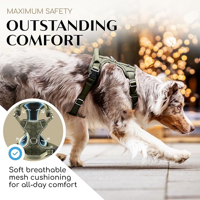 Freudentier No Pull Dog Harness with Handle, Front & Back Clips, Reflective | Soft breathable mesh padding - perfect fit with no chafing or slipping - comfortable dog vest for small, medium & large dogs