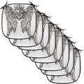 Lunarable Fleur De Lis Chair Cushion Pads Set of 8, Tribal Tattoo Design with Wings Historic Crest Crown and Eagle, Anti-Slip Seat Padding for Kitchen & Patio, 16"x16", Eggshell Black