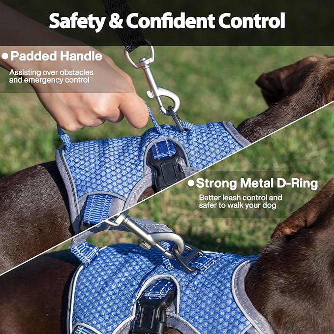 Escape Proof Dog Harness, Dachshund Harness, Reflective Dog Harness with Handle, Durable,Adjustable Vest for Small Medium Large Dogs Walking, Training, and Running Gear (Technicolor Blue,M)