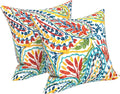 LVTXIII Outdoor Throw Pillows, Decorative Throw Pillows with Inserts, 16"x16" Square Pillows for Bed, Couch, Sofa and Patio Furniture, Set of 2, Paisley Multi