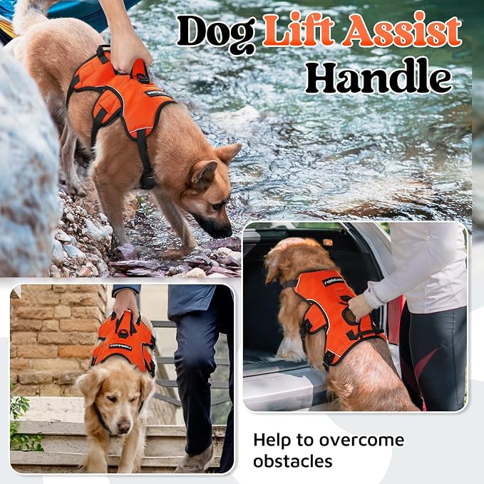 rabbitgoo Escape Proof Dog Harness for Medium, No Pull with Lift Handle | No Escape, Full Soft Padded, Reflective Adjustable Vest, Leash Clip for Walking Hiking Training, Orange, Medium