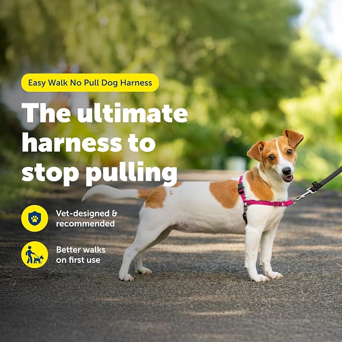 PetSafe Easy Walk Harness, No Pull Dog Harness, Raspberry, Small | Patented Martingale Loop Gives Gradual Shoulder Pressure to Stop Pulling, Front-Chest Leash Clip Prevents Gagging